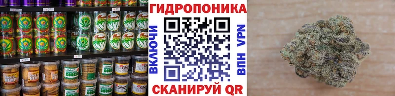 Canna-Cookies марихуана Удачный