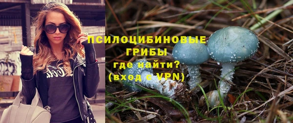МДПВ Рославль