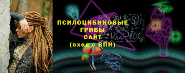 стафф Алексин