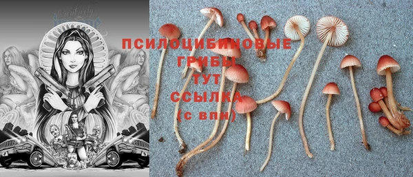 дурь Арсеньев