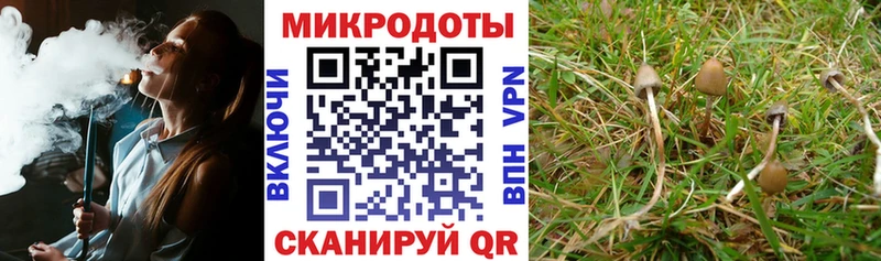 наркотики  ОМГ ОМГ рабочий сайт  Псилоцибиновые грибы Psilocybe  Удачный 